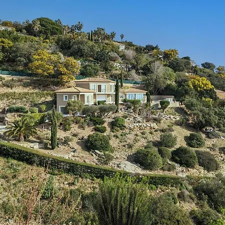 Dolce C7 * Сент-Максим